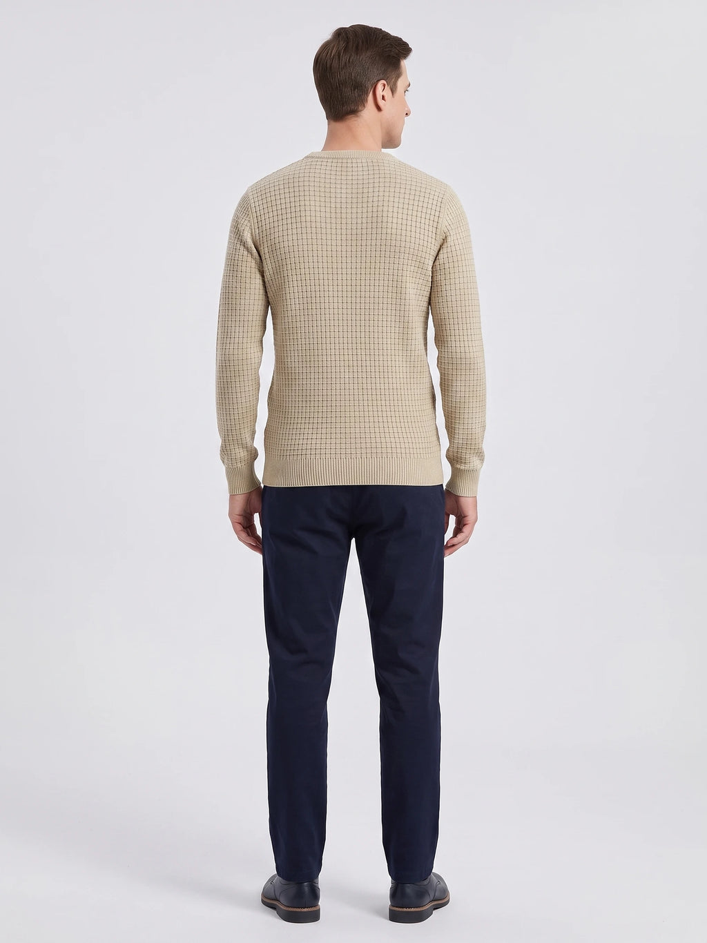 Rear studio view of a model wearing a Beige men's crewneck sweater with textured grid knit and ribbed hem and cuffs.