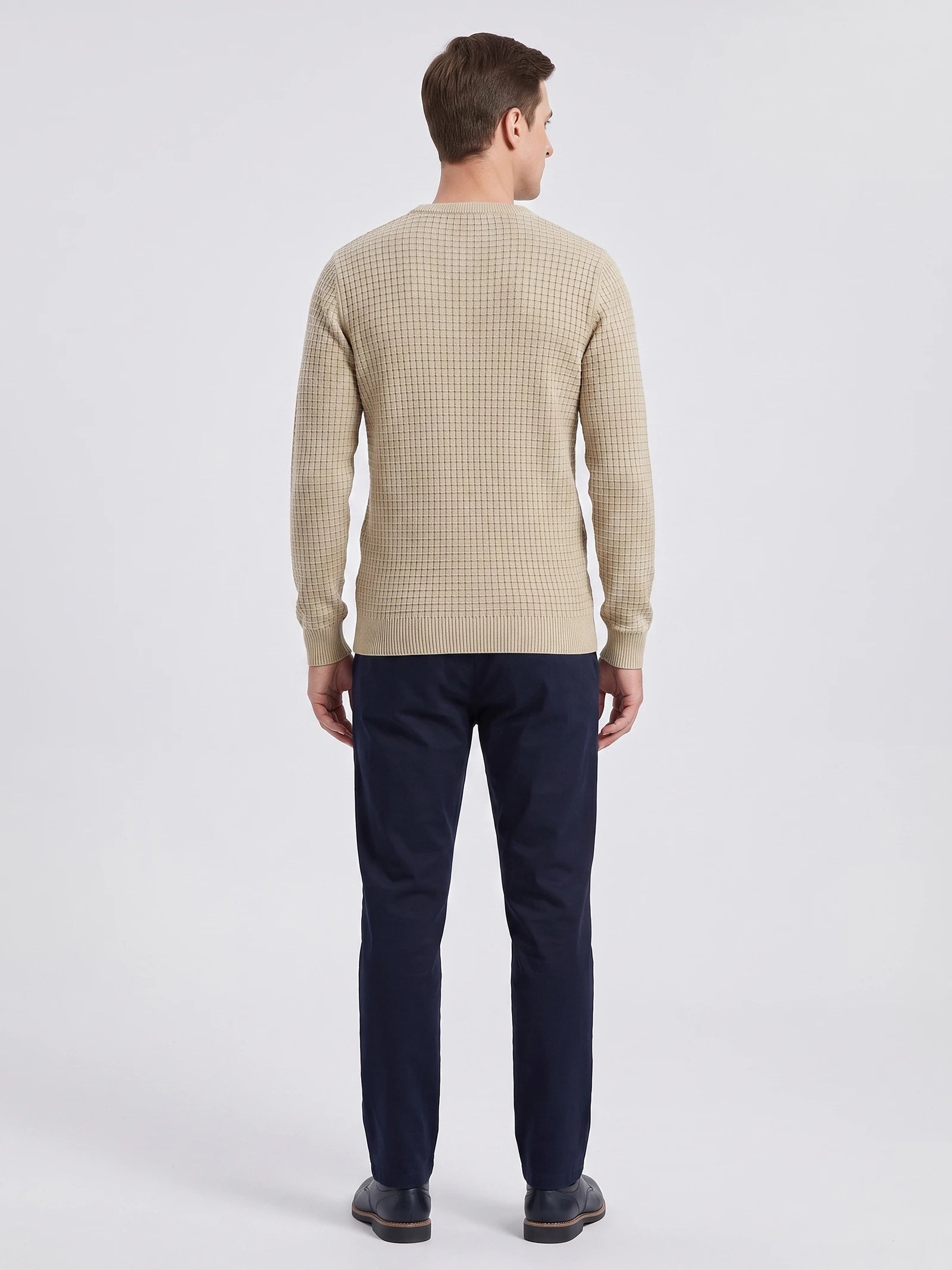 Rear studio view of a model wearing a Beige men's crewneck sweater with textured grid knit and ribbed hem and cuffs.